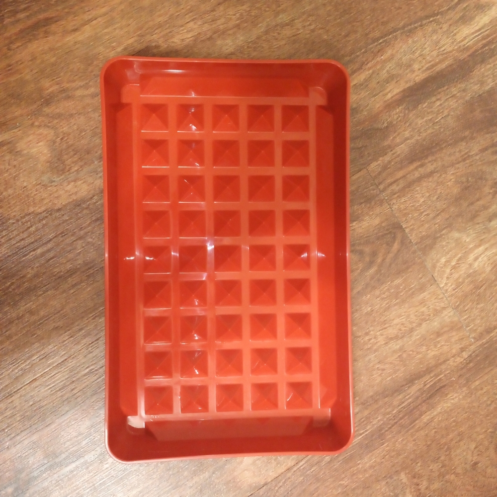 Tupperware Bacon/ Hot Dog Keeper